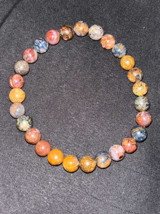 Madera petrificada/ Petrified wood
